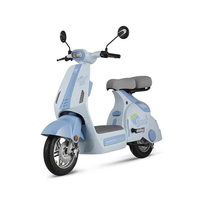 Yousu F9, elektrický skútr s výkonem 800W, 12trubkovým ovladačem 32A, multifunkční palubní deskou a PU-Baking Paint